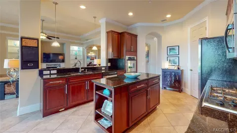 1127 W Pointe Vista Path, Hernando, FL 34442 photo 16