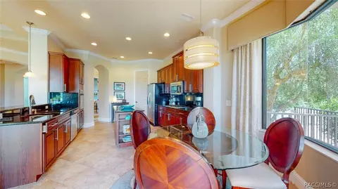 1127 W Pointe Vista Path, Hernando, FL 34442 photo 14