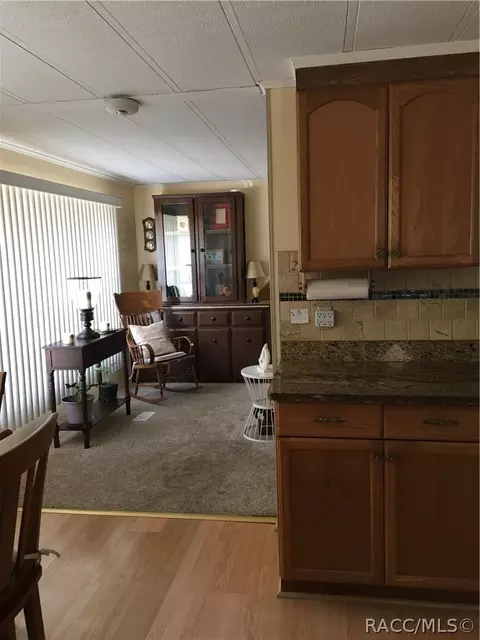 4258 E Tennessee Ln, Hernando, FL 34442 photo 8