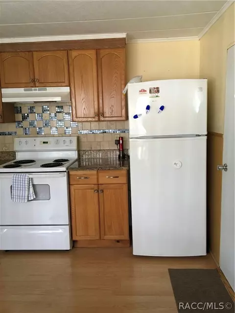 4258 E Tennessee Ln, Hernando, FL 34442 photo 3