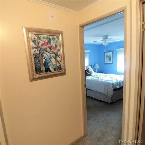 4258 E Tennessee Ln, Hernando, FL 34442 photo 22
