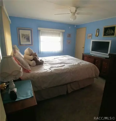 4258 E Tennessee Ln, Hernando, FL 34442 photo 33