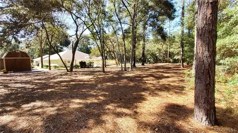 1477 W Redding St, Hernando, FL 34442 photo 40