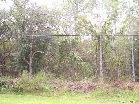 778 W Olympia St, Hernando, FL 34442 photo 1