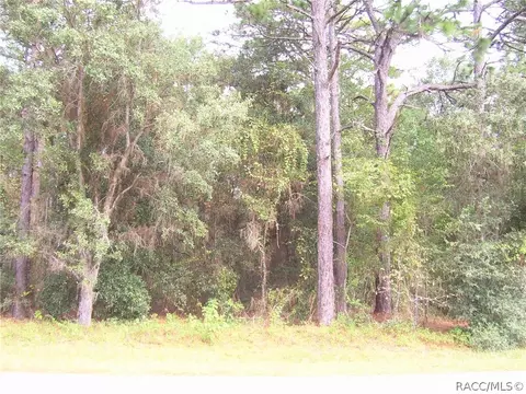 1487 W Olympia St, Hernando, FL 34442 photo 1