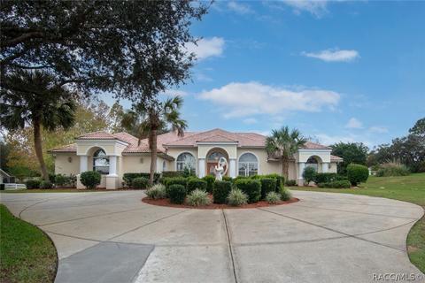 1400 N Spend A Buck Dr, Hernando, FL 34442 photo 48