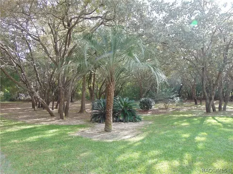 1460 E Ridgefield Dr, Hernando, FL 34442 photo 32