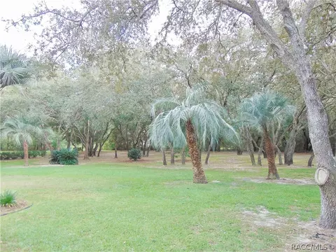 1460 E Ridgefield Dr, Hernando, FL 34442 photo 31