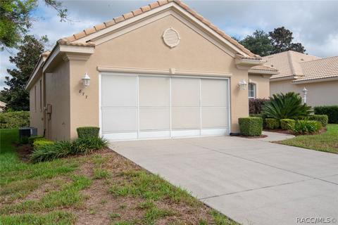 877 W Silver Meadow Loop, Hernando, FL 34442 photo 10