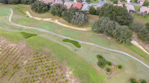 716 W Doerr Path, Hernando, FL 34442 photo 44