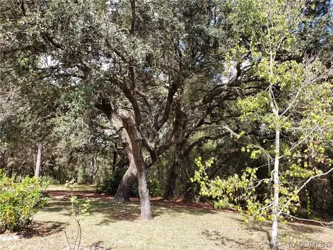 382 E Benjamin St, Hernando, FL 34442 photo 45