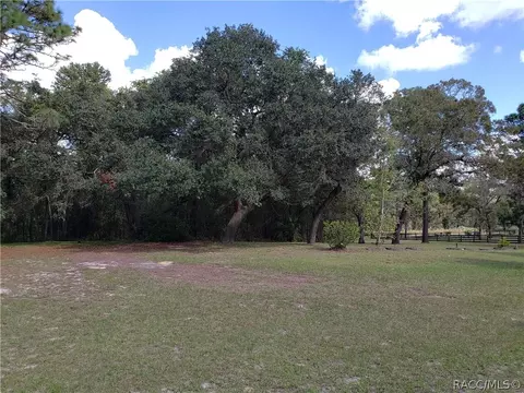 382 E Benjamin St, Hernando, FL 34442 photo 44