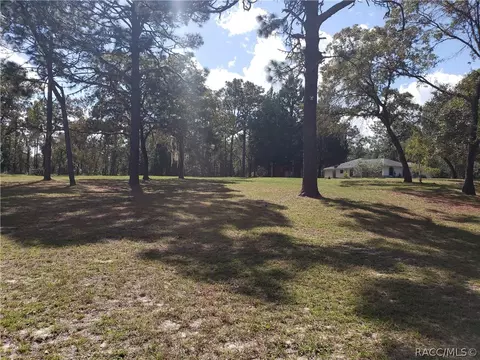 382 E Benjamin St, Hernando, FL 34442 photo 6