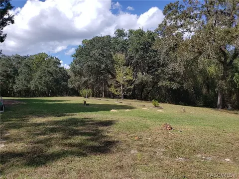 382 E Benjamin St, Hernando, FL 34442 photo 39