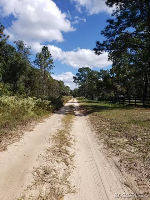 382 E Benjamin St, Hernando, FL 34442 photo 48