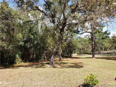 382 E Benjamin St, Hernando, FL 34442 photo 46