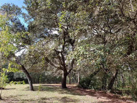 382 E Benjamin St, Hernando, FL 34442 photo 7