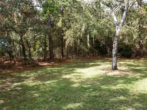 382 E Benjamin St, Hernando, FL 34442 photo 43