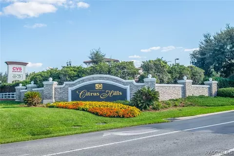 1639 W Skyview Crossing Dr, Hernando, FL 34442 photo 37