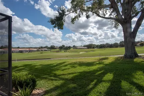 172 W Doerr Path, Hernando, FL 34442 photo 21