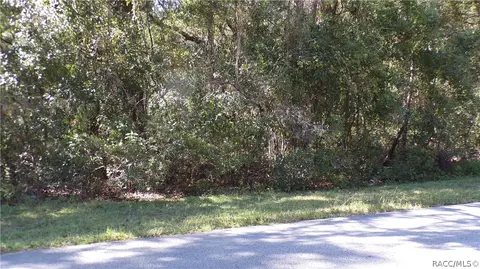 4164 N Forest Lake Dr, Hernando, FL 34442 photo 7