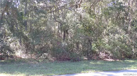 4164 N Forest Lake Dr, Hernando, FL 34442 photo 2
