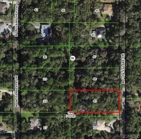 4164 N Forest Lake Dr, Hernando, FL 34442 photo 9