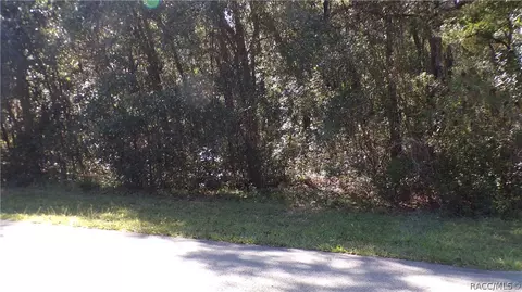4164 N Forest Lake Dr, Hernando, FL 34442 photo 5