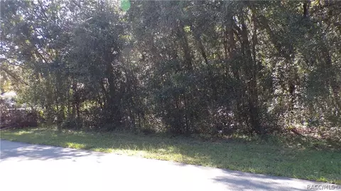 4164 N Forest Lake Dr, Hernando, FL 34442 photo 6
