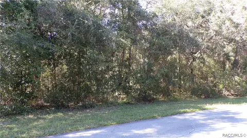 4164 N Forest Lake Dr, Hernando, FL 34442 photo 1