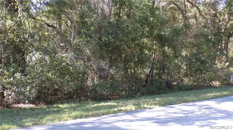 4164 N Forest Lake Dr, Hernando, FL 34442 photo 3