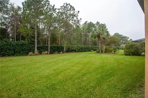 1612 W Laurel Glen Path, Hernando, FL 34442 photo 8