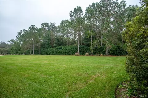 1612 W Laurel Glen Path, Hernando, FL 34442 photo 7