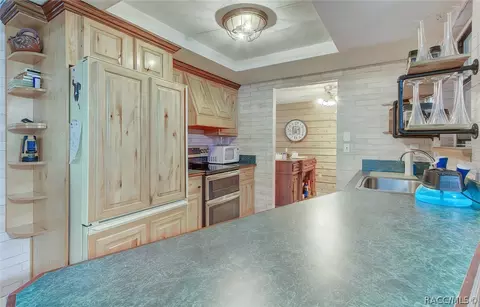 1223 Larkin Rd, Spring Hill, FL 34608 photo 9