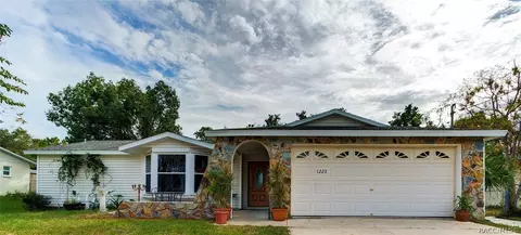 1223 Larkin Rd, Spring Hill, FL 34608 photo 1