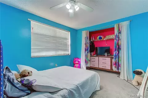 1223 Larkin Rd, Spring Hill, FL 34608 photo 34