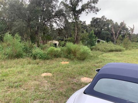 4578 E Posselt Dr, Hernando, FL 34442 photo 4