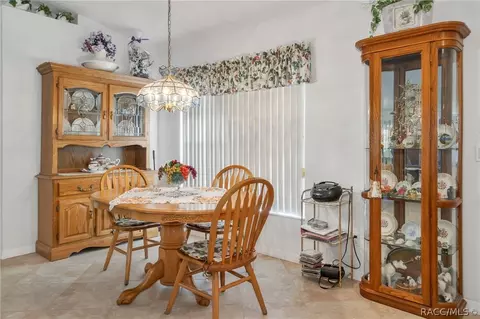 3671 E Zelkova Ln, Hernando, FL 34442 photo 9