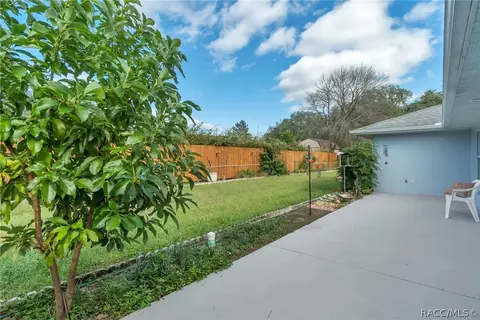 3671 E Zelkova Ln, Hernando, FL 34442 photo 30