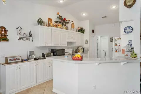 3671 E Zelkova Ln, Hernando, FL 34442 photo 14