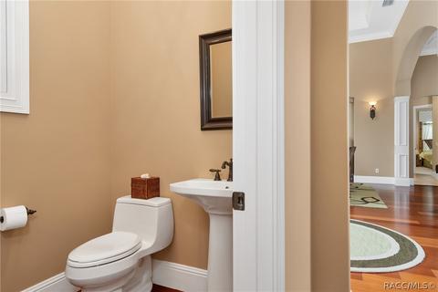 3115 W Shadow Creek Loop, Lecanto, FL 34461 photo 36