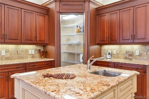 3115 W Shadow Creek Loop, Lecanto, FL 34461 photo 22