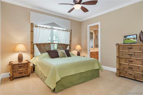 3115 W Shadow Creek Loop, Lecanto, FL 34461 photo 27