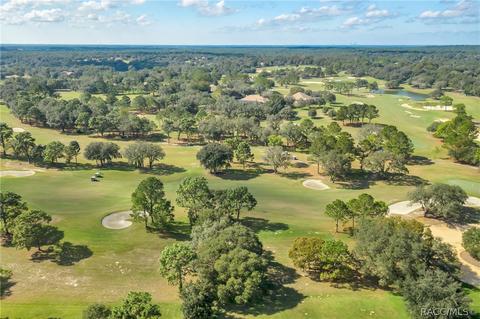 3115 W Shadow Creek Loop, Lecanto, FL 34461 photo 50