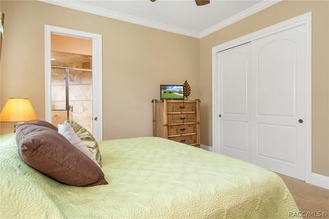 3115 W Shadow Creek Loop, Lecanto, FL 34461 photo 28