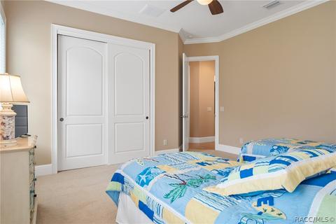 3115 W Shadow Creek Loop, Lecanto, FL 34461 photo 31