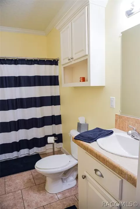 3409 N Anthony Ave, Hernando, FL 34442 photo 35