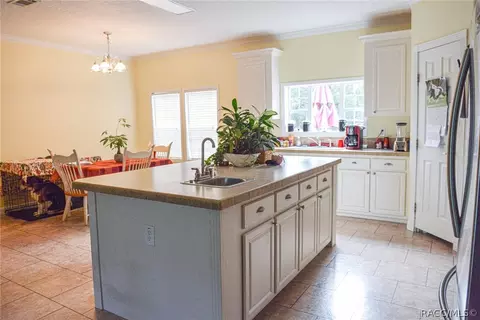3409 N Anthony Ave, Hernando, FL 34442 photo 23