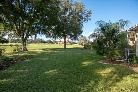 299 W Mickey Mantle Path, Hernando, FL 34442 photo 13