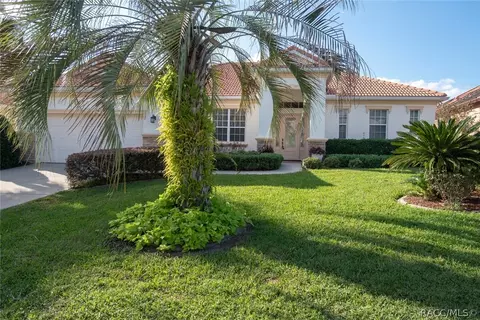 299 W Mickey Mantle Path, Hernando, FL 34442 photo 8